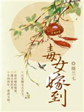 毒女戾妃